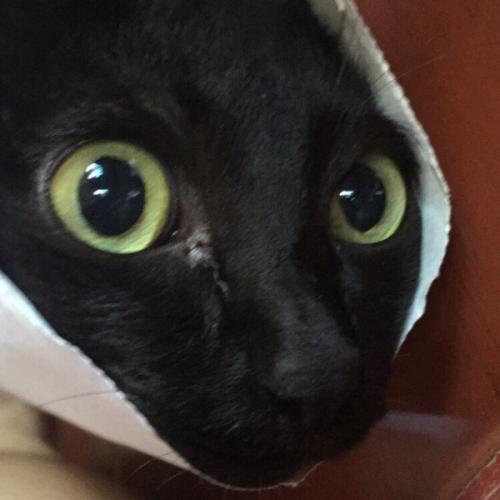 สมาชิกหมายเลข 2728876