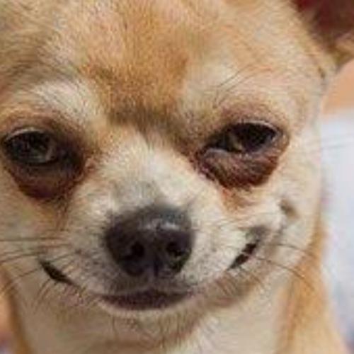 สมาชิกหมายเลข 6035229