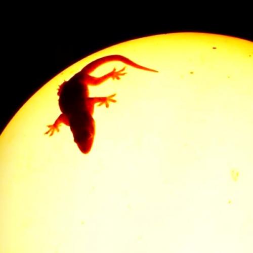 สมาชิกหมายเลข 1880111