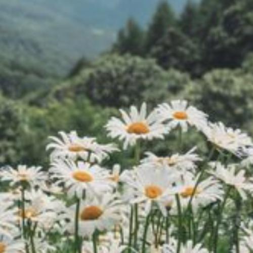 สมาชิกหมายเลข 7931107