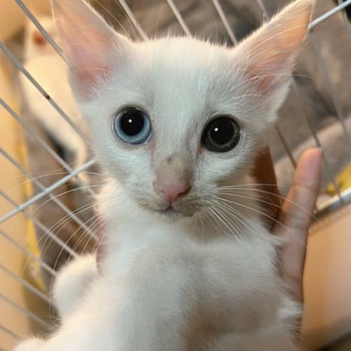 สมาชิกหมายเลข 2647522