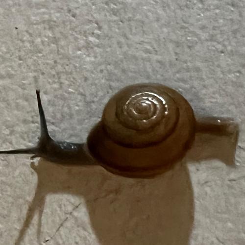 สมาชิกหมายเลข 8108921