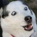 สมาชิกหมายเลข 1476338