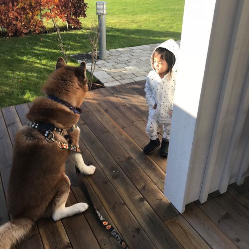 สมาชิกหมายเลข 2960992