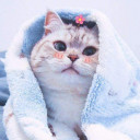 สมาชิกหมายเลข 4960349