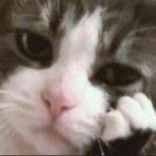 สมาชิกหมายเลข 5010245