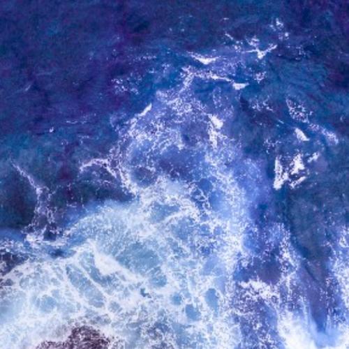 สมาชิกหมายเลข 2938489