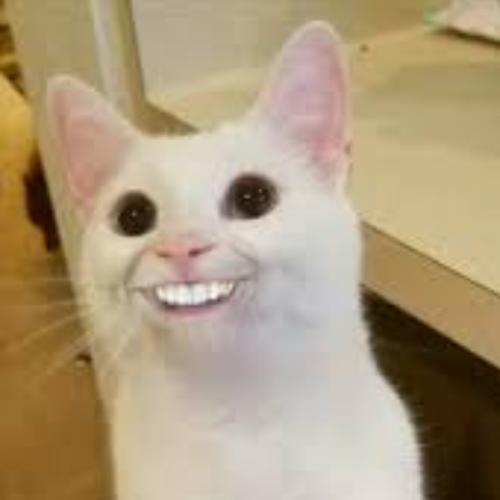 สมาชิกหมายเลข 6947006