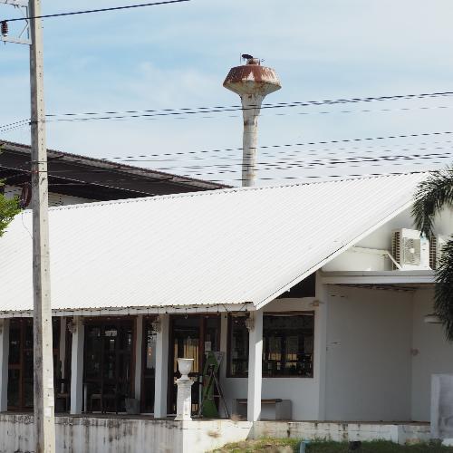 สมาชิกหมายเลข 7378365