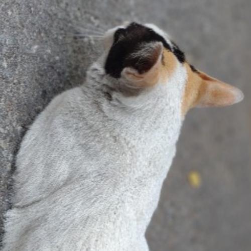 สมาชิกหมายเลข 844576