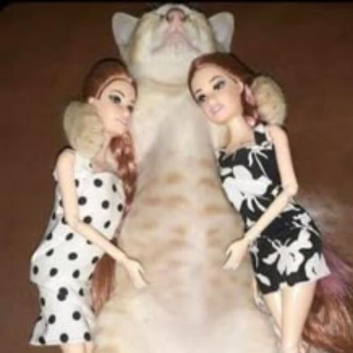 สมาชิกหมายเลข 8439458