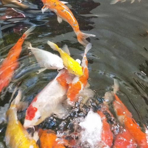 สมาชิกหมายเลข 3413491