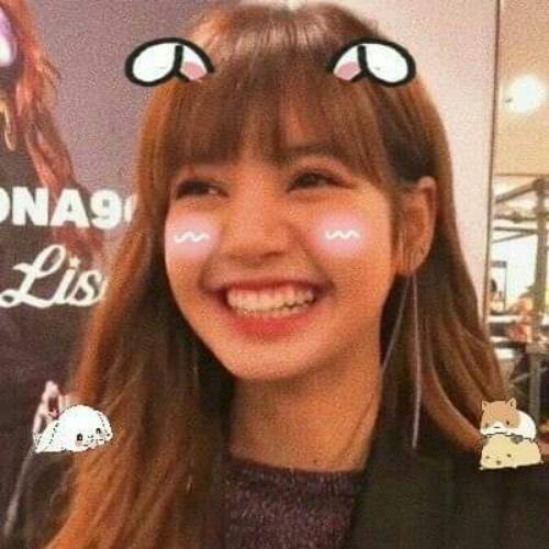 สมาชิกหมายเลข 5358860