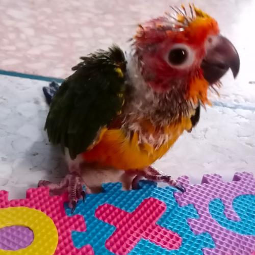 สมาชิกหมายเลข 4188525