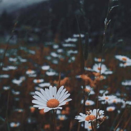 สมาชิกหมายเลข 5842044