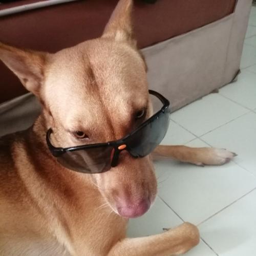 tuaza99