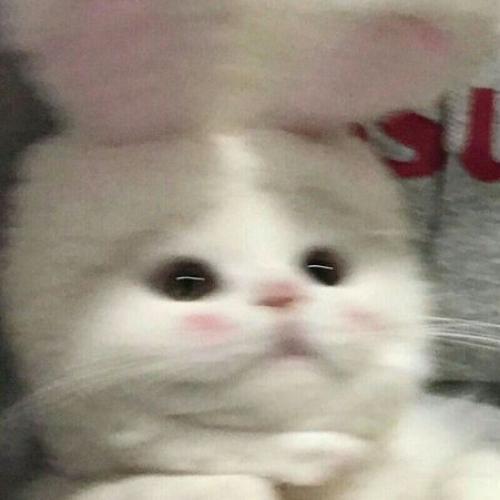 สมาชิกหมายเลข 6406492