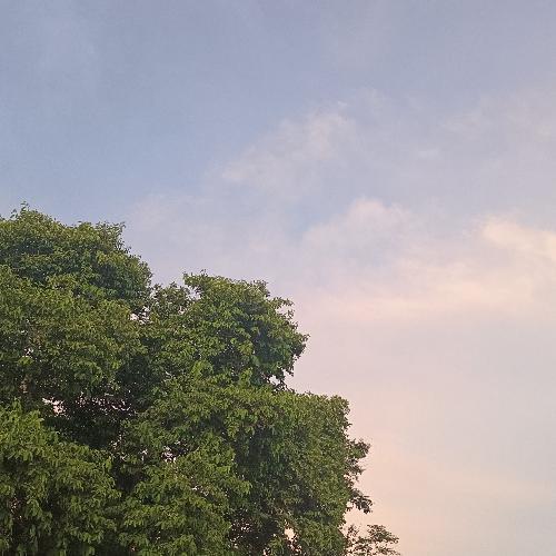 สมาชิกหมายเลข 6591993