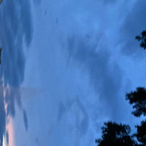 สมาชิกหมายเลข 6958099