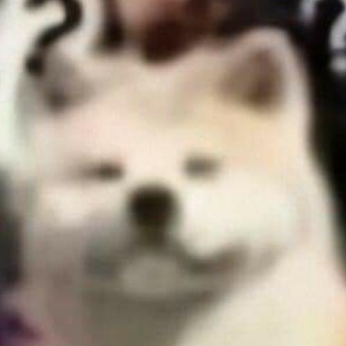 สมาชิกหมายเลข 7142935