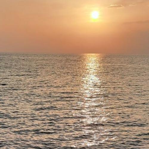 สมาชิกหมายเลข 5701782