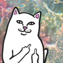 สมาชิกหมายเลข 2519245