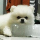 สมาชิกหมายเลข 4167403