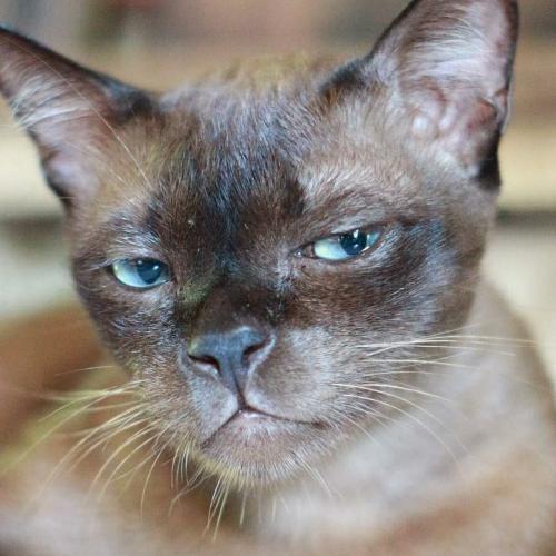 สมาชิกหมายเลข 1629867