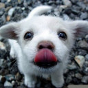 สมาชิกหมายเลข 1945491