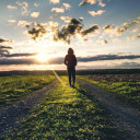 สมาชิกหมายเลข 4392411