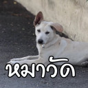 สมาชิกหมายเลข 4609930