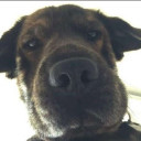 สมาชิกหมายเลข 3007123