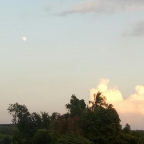 สมาชิกหมายเลข 3488723