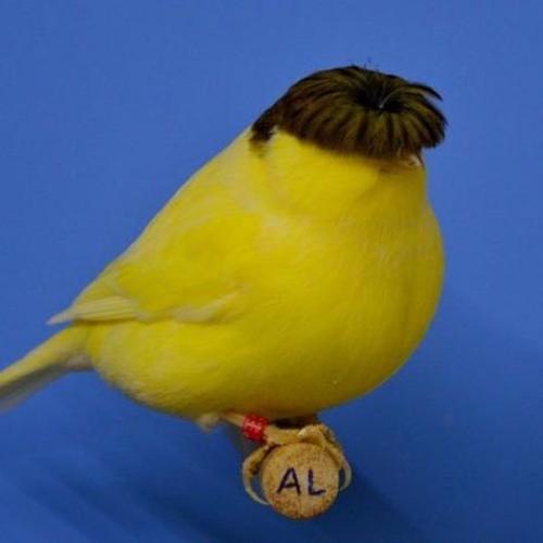 สมาชิกหมายเลข 5359152