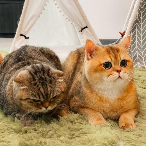 สมาชิกหมายเลข 4263261