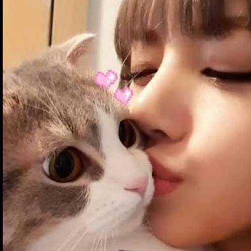 สมาชิกหมายเลข 5130577