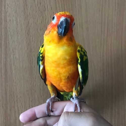 สมาชิกหมายเลข 5842426