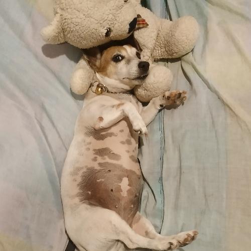 สมาชิกหมายเลข 5995751