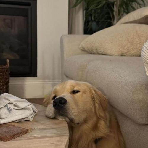 สมาชิกหมายเลข 7933989