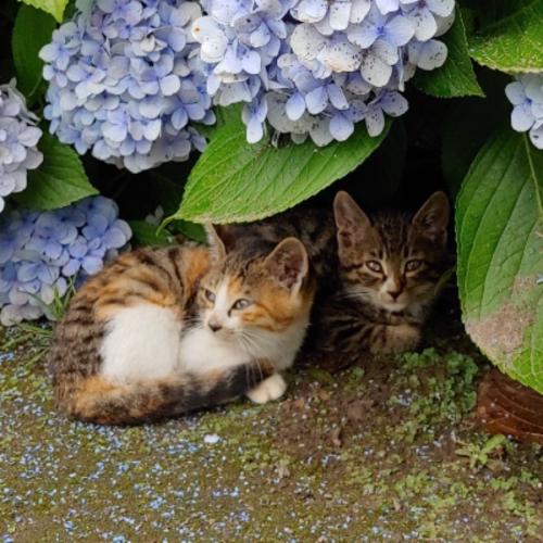 สมาชิกหมายเลข 7934429