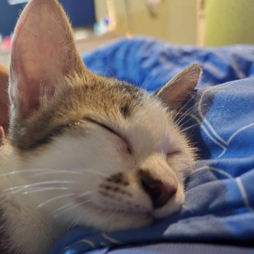 สุดท้ายแล้วเราจะ