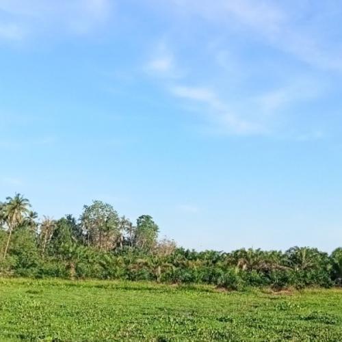 สมาชิกหมายเลข 8639905