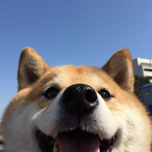 สมาชิกหมายเลข 4302970