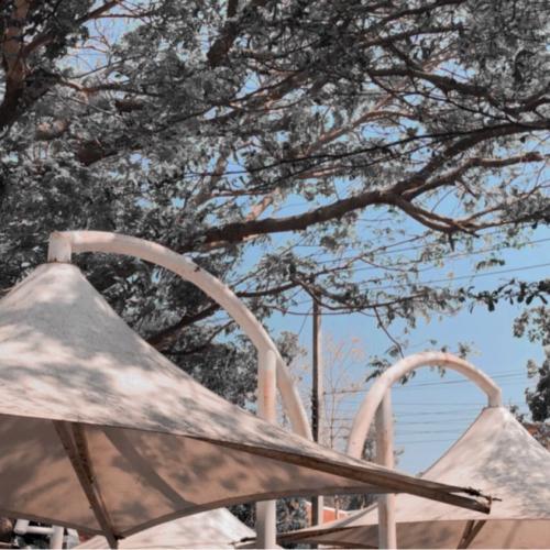 สมาชิกหมายเลข 3110815