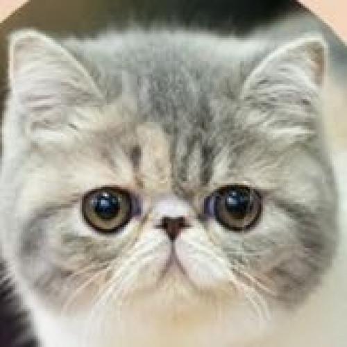 สมาชิกหมายเลข 5820804