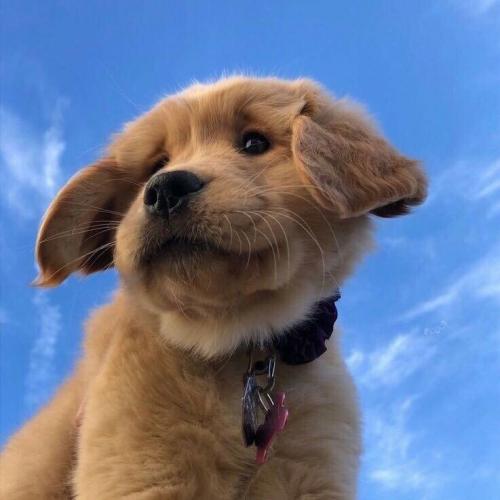 สมาชิกหมายเลข 4834073