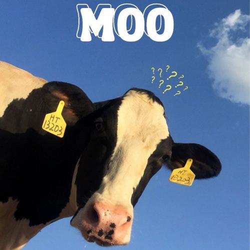 สมาชิกหมายเลข 4255884