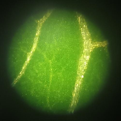 สมาชิกหมายเลข 6923542