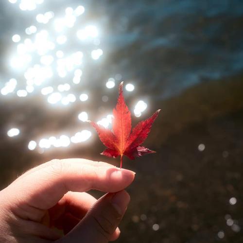 สมาชิกหมายเลข 7935040