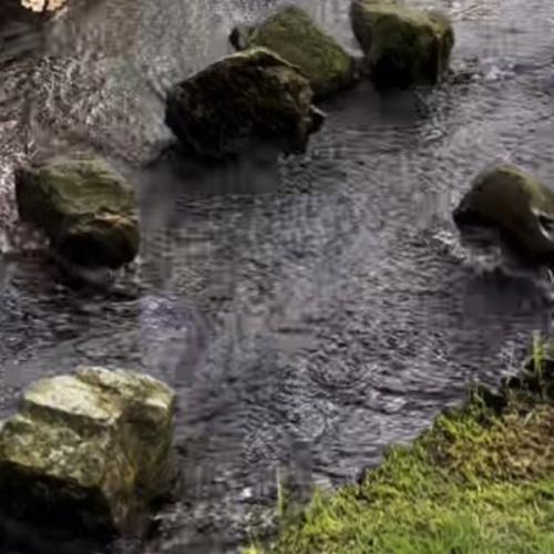 สมาชิกหมายเลข 7321976